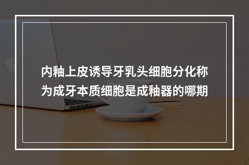 内釉上皮诱导牙乳头细胞分化称为成牙本质细胞是成釉器的哪期