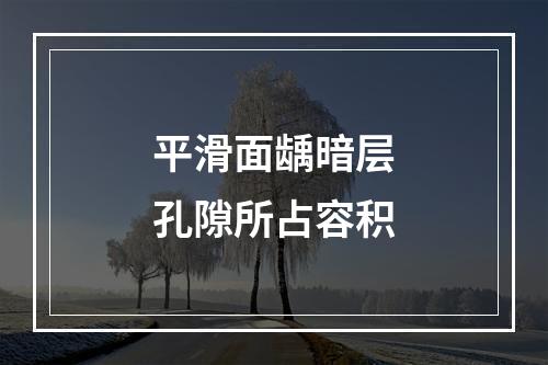 平滑面龋暗层孔隙所占容积