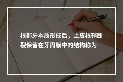 根部牙本质形成后，上皮根鞘断裂保留在牙周膜中的结构称为