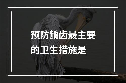 预防龋齿最主要的卫生措施是