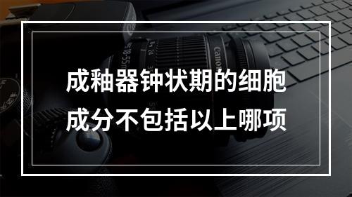 成釉器钟状期的细胞成分不包括以上哪项