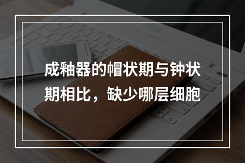 成釉器的帽状期与钟状期相比，缺少哪层细胞