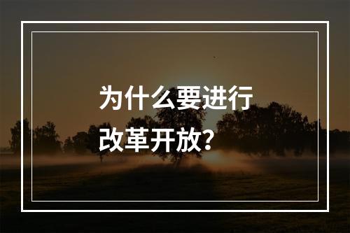 为什么要进行改革开放？