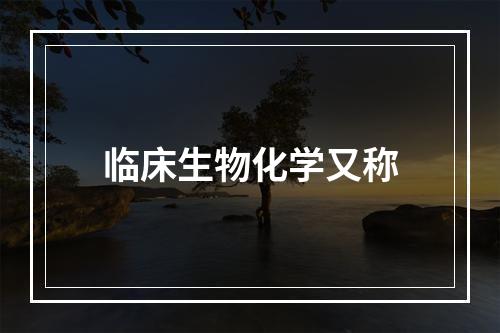 临床生物化学又称