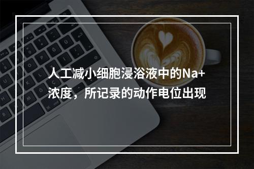 人工减小细胞浸浴液中的Na+浓度，所记录的动作电位出现