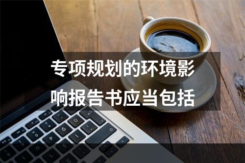 专项规划的环境影响报告书应当包括