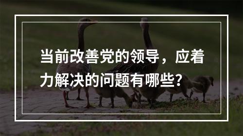 当前改善党的领导，应着力解决的问题有哪些？