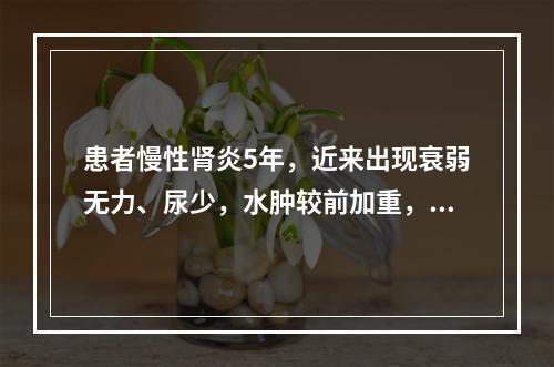 患者慢性肾炎5年，近来出现衰弱无力、尿少，水肿较前加重，并有