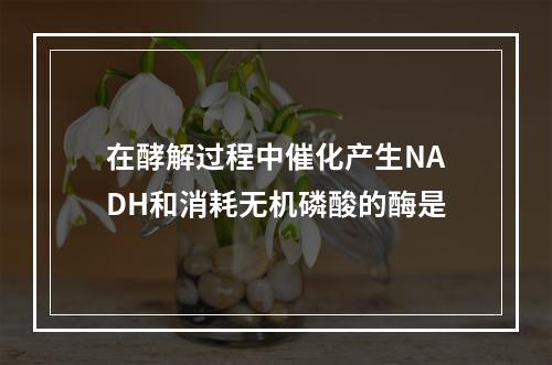 在酵解过程中催化产生NADH和消耗无机磷酸的酶是