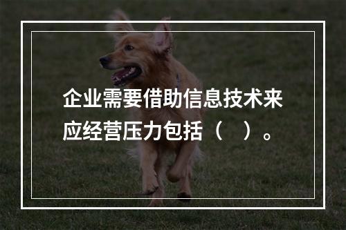 企业需要借助信息技术来应经营压力包括（　）。