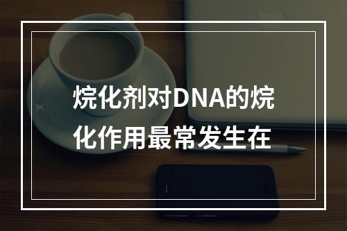 烷化剂对DNA的烷化作用最常发生在