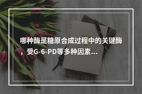 哪种酶是糖原合成过程中的关键酶，受G-6-PD等多种因素调控