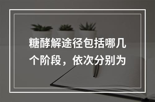 糖酵解途径包括哪几个阶段，依次分别为