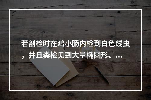 若剖检时在鸡小肠内检到白色线虫，并且粪检见到大量椭圆形、深