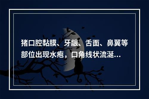 猪口腔黏膜、牙龈、舌面、鼻翼等部位出现水疱，口角线状流涎，体