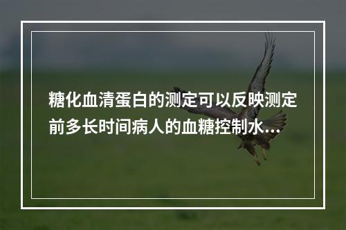 糖化血清蛋白的测定可以反映测定前多长时间病人的血糖控制水平