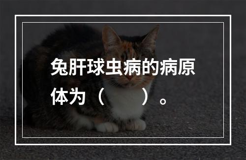 兔肝球虫病的病原体为（　　）。