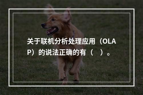 关于联机分析处理应用（OLAP）的说法正确的有（　）。