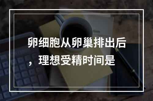 卵细胞从卵巢排出后，理想受精时间是