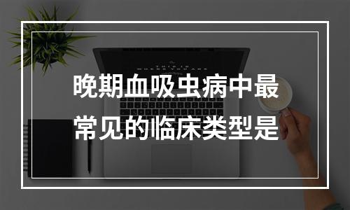 晚期血吸虫病中最常见的临床类型是