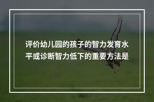 评价幼儿园的孩子的智力发育水平或诊断智力低下的重要方法是