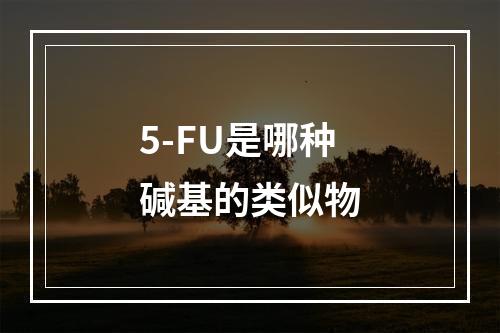 5-FU是哪种碱基的类似物