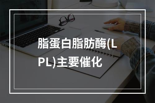 脂蛋白脂肪酶(LPL)主要催化