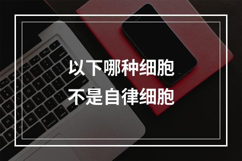 以下哪种细胞不是自律细胞