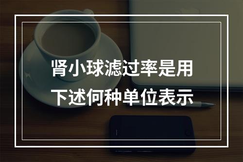 肾小球滤过率是用下述何种单位表示