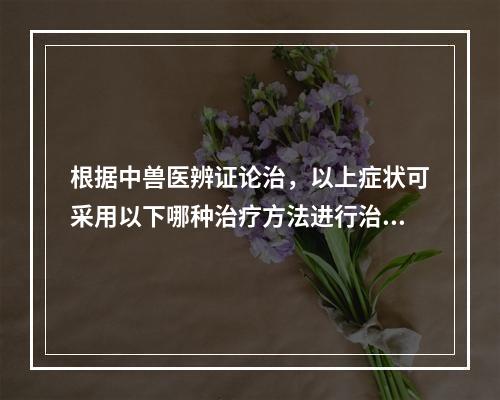 根据中兽医辨证论治，以上症状可采用以下哪种治疗方法进行治疗（