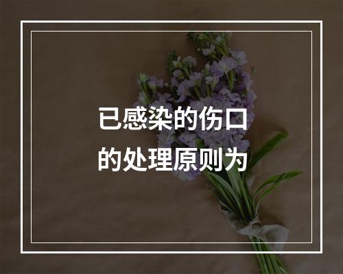 已感染的伤口的处理原则为