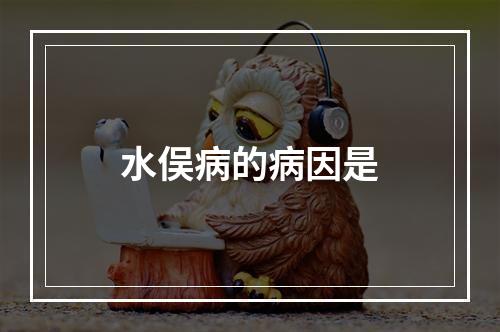 水俣病的病因是