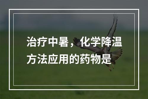 治疗中暑，化学降温方法应用的药物是