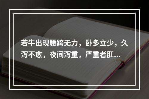 若牛出现腰跨无力，卧多立少，久泻不愈，夜间泻重，严重者肛门失