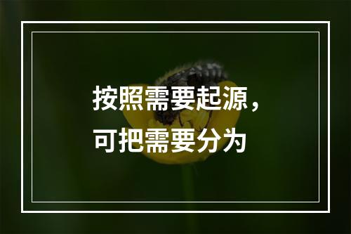 按照需要起源，可把需要分为