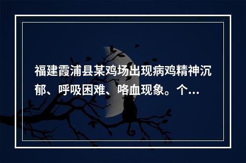 福建霞浦县某鸡场出现病鸡精神沉郁、呼吸困难、咯血现象。个别