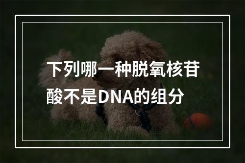 下列哪一种脱氧核苷酸不是DNA的组分