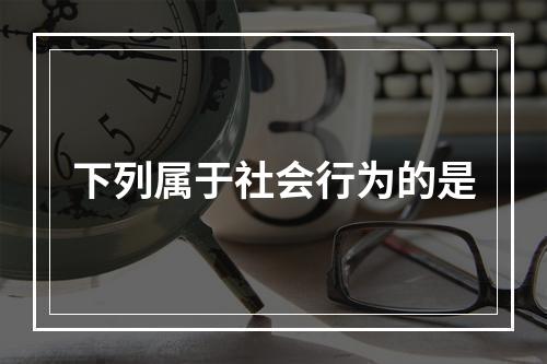 下列属于社会行为的是