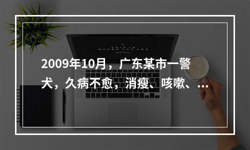 2009年10月，广东某市一警犬，久病不愈，消瘦、咳嗽、呼