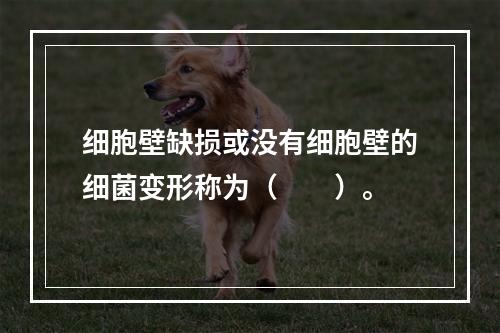 细胞壁缺损或没有细胞壁的细菌变形称为（　　）。