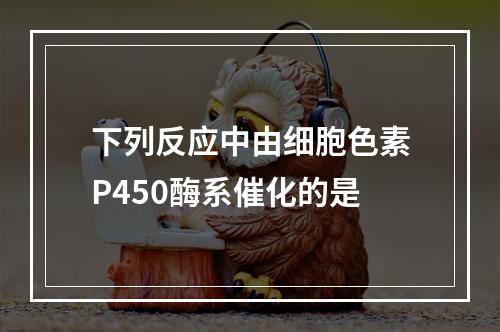 下列反应中由细胞色素P450酶系催化的是