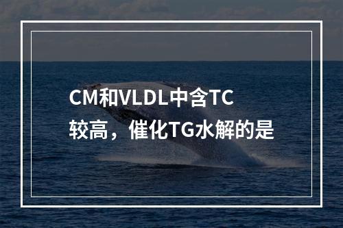 CM和VLDL中含TC较高，催化TG水解的是