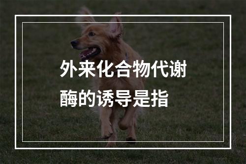 外来化合物代谢酶的诱导是指