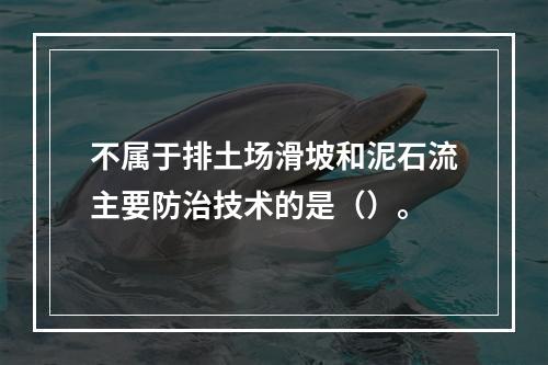 不属于排土场滑坡和泥石流主要防治技术的是（）。