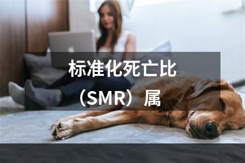 标准化死亡比（SMR）属