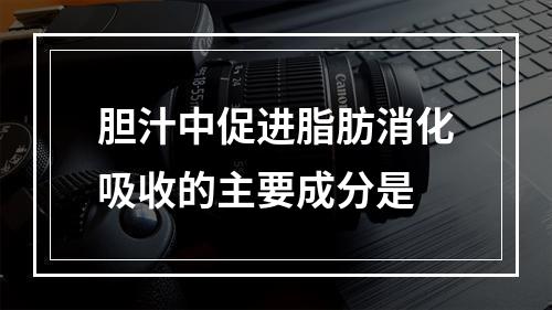 胆汁中促进脂肪消化吸收的主要成分是