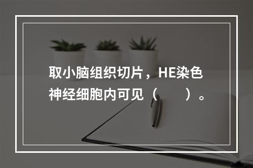 取小脑组织切片，HE染色神经细胞内可见（　　）。