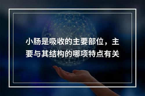 小肠是吸收的主要部位，主要与其结构的哪项特点有关