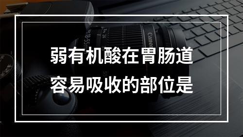 弱有机酸在胃肠道容易吸收的部位是