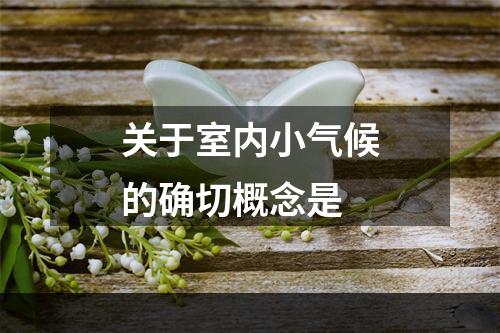 关于室内小气候的确切概念是